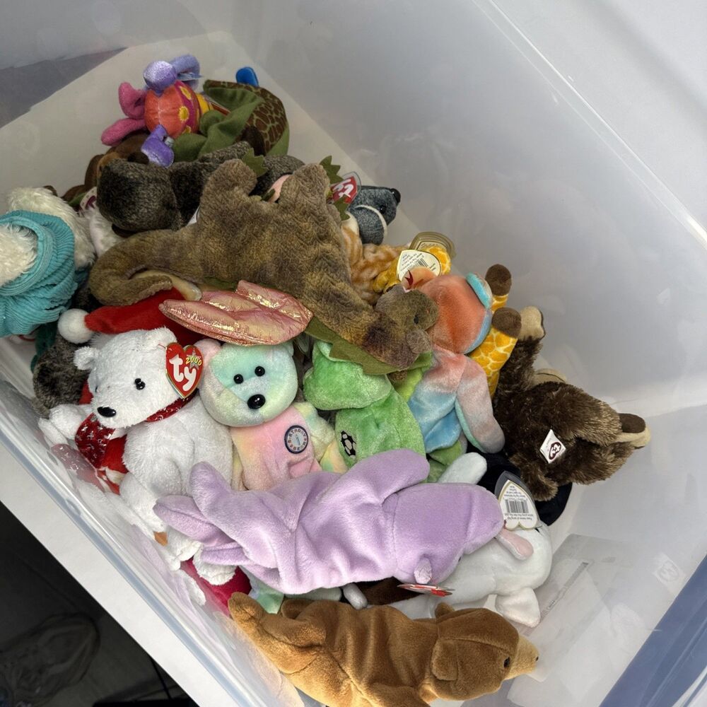 Lot of 45 Retired Ty Beanie Baby Collection w/ Tags